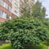 https://cdn-ostrovok-ru-ion.test.edgekey.net/t/100x100/hotel_review/df/a1/dfa1a9185c5d466dec8b2463ad5cb93a2bbb4c1a.JPEG