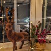 https://cdn-ostrovok-ru-ion.test.edgekey.net/t/100x100/hotel_review/df/b3/dfb3881f5884642b28e297be6b6bce8f7102d32c.JPEG