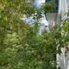 https://cdn-ostrovok-ru-ion.test.edgekey.net/t/100x100/hotel_review/df/ed/dfed29fe6f1deb08a8b01d0ea29a323939c442e6.JPEG