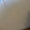 https://cdn-ostrovok-ru-ion.test.edgekey.net/t/100x100/hotel_review/e0/03/e003d613523df5c432e9a0a1b5d74da1f1b8a466.JPEG