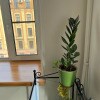 https://cdn-ostrovok-ru-ion.test.edgekey.net/t/100x100/hotel_review/e0/2c/e02c0a4bc4c20703708e55328b4b4953f71e5b36.JPEG