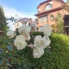 https://cdn-ostrovok-ru-ion.test.edgekey.net/t/100x100/hotel_review/e0/60/e0605f5800660fdc516653e733798d34f632aa47.JPEG