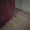 https://cdn-ostrovok-ru-ion.test.edgekey.net/t/100x100/hotel_review/e0/87/e087a85f4392a22f50e9be533fdf6d93bd08da5b.jpeg