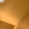 https://cdn-ostrovok-ru-ion.test.edgekey.net/t/100x100/hotel_review/e0/b3/e0b33675e176c476cf58896794b83b54b40fe35e.jpeg