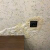 https://cdn-ostrovok-ru-ion.test.edgekey.net/t/100x100/hotel_review/e0/b6/e0b645a370d161b7a39715ae66e96e2d889cce98.JPEG