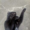 https://cdn-ostrovok-ru-ion.test.edgekey.net/t/100x100/hotel_review/e0/f3/e0f349d72e5aa52d44940bb7660da1f198fdfdf3.jpeg
