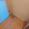 https://cdn-ostrovok-ru-ion.test.edgekey.net/t/100x100/hotel_review/e1/23/e1235829e751d50c87112b240d0ac7b9c3e87a3c.jpeg