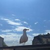https://cdn-ostrovok-ru-ion.test.edgekey.net/t/100x100/hotel_review/e1/34/e134b9c0e086c6c3ceb632b597e656e51db6b82b.JPEG