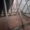 https://cdn-ostrovok-ru-ion.test.edgekey.net/t/100x100/hotel_review/e1/d1/e1d1b4f87620ca281378e92bd64bffe3facd97ae.JPEG