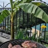 https://cdn-ostrovok-ru-ion.test.edgekey.net/t/100x100/hotel_review/e1/df/e1df9a77cc654d760f6764859f612a4f11ecacad.jpeg