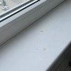 https://cdn-ostrovok-ru-ion.test.edgekey.net/t/100x100/hotel_review/e1/e6/e1e603f3ddfa91b3b6d21ca0dab60a4304df7280.JPEG