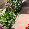 https://cdn-ostrovok-ru-ion.test.edgekey.net/t/100x100/hotel_review/e2/42/e242bb967c2ff557ec430cd1117607228f3de56c.JPEG