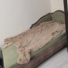 https://cdn-ostrovok-ru-ion.test.edgekey.net/t/100x100/hotel_review/e2/4f/e24f2850bf28056000028c8ccfc7cde792e0fba9.jpeg
