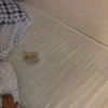 https://cdn-ostrovok-ru-ion.test.edgekey.net/t/100x100/hotel_review/e2/77/e27739389b54b15c326b88e183563a8b1647ccf0.JPEG