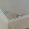 https://cdn-ostrovok-ru-ion.test.edgekey.net/t/100x100/hotel_review/e2/7f/e27f77068abb74e9a32b5d1b9b73b7ad68c6da5c.JPEG