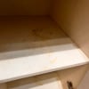 https://cdn-ostrovok-ru-ion.test.edgekey.net/t/100x100/hotel_review/e2/dd/e2dd3c68ed90a238c4808e3250f5adbd0abc8b60.JPEG