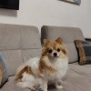 https://cdn-ostrovok-ru-ion.test.edgekey.net/t/100x100/hotel_review/e2/e5/e2e5a458cce006e90d1c5c62f9d6ec754e533100.JPEG