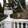 https://cdn-ostrovok-ru-ion.test.edgekey.net/t/100x100/hotel_review/e3/47/e347b908537d27cb8673f34e23386e600b0eb2f9.JPEG