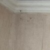 https://cdn-ostrovok-ru-ion.test.edgekey.net/t/100x100/hotel_review/e3/6b/e36b85b8508a3bf332e49836b270399123541648.JPEG