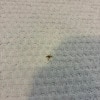 https://cdn-ostrovok-ru-ion.test.edgekey.net/t/100x100/hotel_review/e3/c3/e3c34ea2689728a8e38059453648b9e88da0def7.JPEG