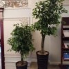https://cdn-ostrovok-ru-ion.test.edgekey.net/t/100x100/hotel_review/e3/df/e3df8ab192b267a00a3aa1c7b76c4f395dad1823.JPEG