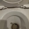 https://cdn-ostrovok-ru-ion.test.edgekey.net/t/100x100/hotel_review/e3/eb/e3ebbb6050748a578e18e880fa7110025ea5362a.jpeg