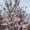 https://cdn-ostrovok-ru-ion.test.edgekey.net/t/100x100/hotel_review/e3/f3/e3f325266c31fd7fa6527ffb694138021bba4547.jpeg