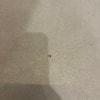 https://cdn-ostrovok-ru-ion.test.edgekey.net/t/100x100/hotel_review/e3/f6/e3f6955d39b974f726ac079b272778205673ed41.JPEG