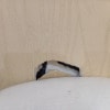https://cdn-ostrovok-ru-ion.test.edgekey.net/t/100x100/hotel_review/e4/26/e426c2c6356762b7460c22f4218924110f97a6e8.JPEG