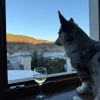 https://cdn-ostrovok-ru-ion.test.edgekey.net/t/100x100/hotel_review/e4/59/e459c5e4d2ad8f1275d75c8bfe68a7110dafe006.JPEG