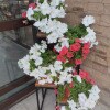 https://cdn-ostrovok-ru-ion.test.edgekey.net/t/100x100/hotel_review/e4/5b/e45b2918f6b6d6857a7d7caaa4c83cf0ec309e0c.jpeg