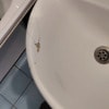 https://cdn-ostrovok-ru-ion.test.edgekey.net/t/100x100/hotel_review/e4/6e/e46e41926f1207171e217b35db1af102be8879f5.JPEG