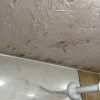 https://cdn-ostrovok-ru-ion.test.edgekey.net/t/100x100/hotel_review/e4/92/e492ee411ebbe8c7a27c2f34c42bea4e8195e238.JPEG