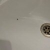 https://cdn-ostrovok-ru-ion.test.edgekey.net/t/100x100/hotel_review/e4/a7/e4a71fd4f3ae6cb5d02e867991f547dc893f36a7.JPEG