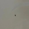 https://cdn-ostrovok-ru-ion.test.edgekey.net/t/100x100/hotel_review/e4/b2/e4b2046b25e96c38fc6e499d8a2301515dfd5bf4.JPEG