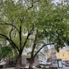 https://cdn-ostrovok-ru-ion.test.edgekey.net/t/100x100/hotel_review/e4/fa/e4faef9a830518fc76bdc8c1ddb546210445addb.jpeg