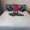 https://cdn-ostrovok-ru-ion.test.edgekey.net/t/100x100/hotel_review/e4/fe/e4fe9120563a51b0e81449eec2ad41ec13e11162.JPEG