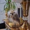 https://cdn-ostrovok-ru-ion.test.edgekey.net/t/100x100/hotel_review/e5/1e/e51e2d9dbc07a092a5600cefc7f7f86bdf49682a.JPEG