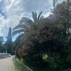 https://cdn-ostrovok-ru-ion.test.edgekey.net/t/100x100/hotel_review/e5/3f/e53f4c9633dc5b6a639f5e0213a8767489f54191.JPEG