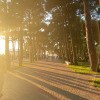 https://cdn-ostrovok-ru-ion.test.edgekey.net/t/100x100/hotel_review/e5/bf/e5bf7d33d459b27a0884b140c80eb15bc343bc63.JPEG