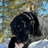 https://cdn-ostrovok-ru-ion.test.edgekey.net/t/100x100/hotel_review/e6/16/e61623100ec97047af491d7f5f97dc816163cd32.jpeg