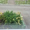 https://cdn-ostrovok-ru-ion.test.edgekey.net/t/100x100/hotel_review/e6/34/e6348f9409312cb908d2a18795a7e25fb14437ac.JPEG