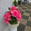 https://cdn-ostrovok-ru-ion.test.edgekey.net/t/100x100/hotel_review/e6/4b/e64be7bf44bb0d8fb7e3e7521df953db558b2be1.JPEG