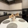 https://cdn-ostrovok-ru-ion.test.edgekey.net/t/100x100/hotel_review/e6/ae/e6ae1be2a5b08d24a6a0949b5595c4448cee3b0a.JPEG