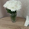 https://cdn-ostrovok-ru-ion.test.edgekey.net/t/100x100/hotel_review/e7/17/e7172113172f7fde9b7682e4c2ebec3ed6bcfb5e.JPEG