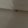 https://cdn-ostrovok-ru-ion.test.edgekey.net/t/100x100/hotel_review/e7/41/e741c67944c96ad65939a5f8b1fcc5dd10657c09.JPEG