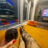 https://cdn-ostrovok-ru-ion.test.edgekey.net/t/100x100/hotel_review/e7/8d/e78df6482912928873523143ed6caff42e4d8a05.JPEG