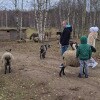 https://cdn-ostrovok-ru-ion.test.edgekey.net/t/100x100/hotel_review/e7/b9/e7b9c5c0ed0b201449f733539146559b9e84fd66.jpeg