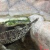 https://cdn-ostrovok-ru-ion.test.edgekey.net/t/100x100/hotel_review/e7/ca/e7cafdcf2eb24aaf0345c8b8863c12ec26a53aa0.JPEG