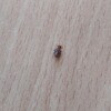 https://cdn-ostrovok-ru-ion.test.edgekey.net/t/100x100/hotel_review/e7/de/e7def63b2e69774edab10f14c769ea35113dc6e6.JPEG